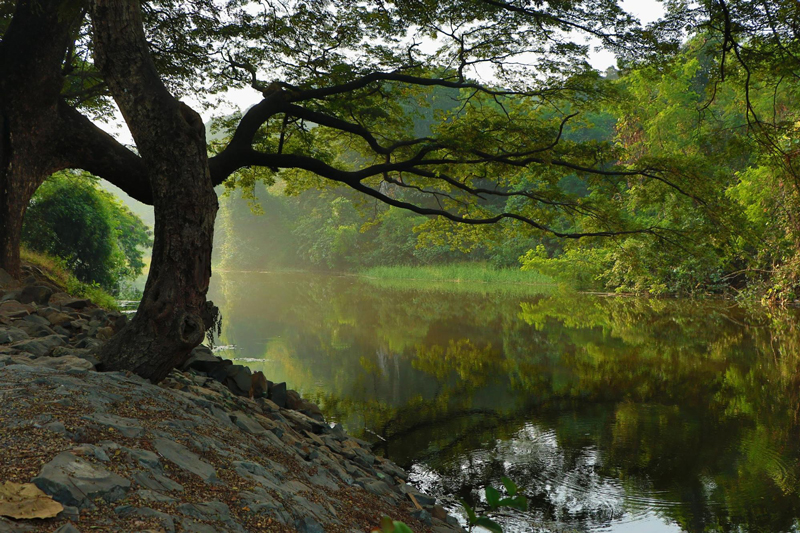 cpic-april