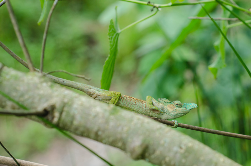 enhancing biodiversity