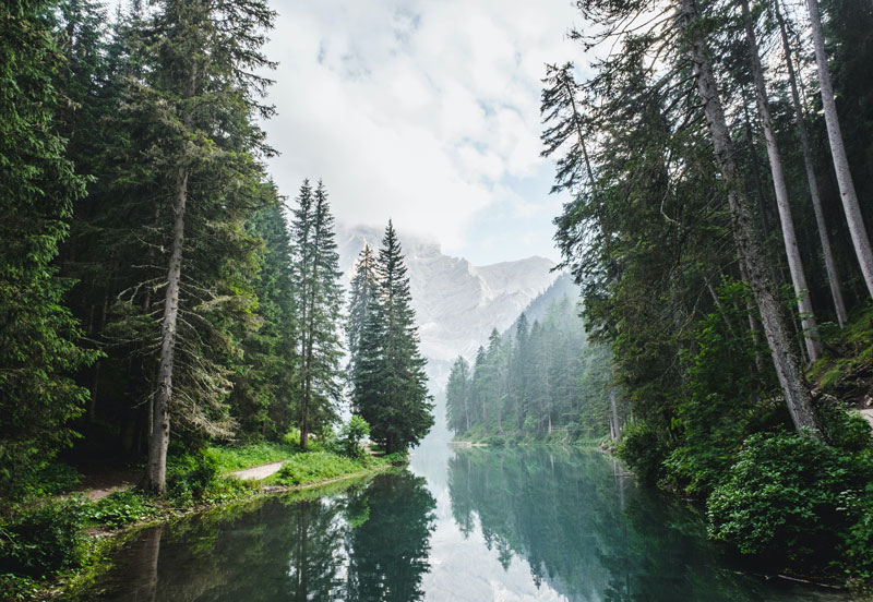 nature based solution